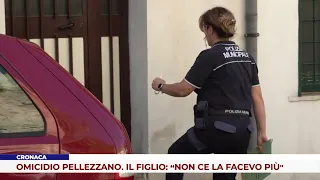 NEWS. PELLEZZANO MURDER. THE SON: “I COULDN'T TAKE IT ANYMORE”