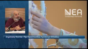 ΑΝΗΣΥΧΗΤΙΚΑ ΤΑ ΣΤΟΙΧΕΙΑ ΤΗΣ ΕΛΣΤΑΤ ΓΙΑ ΤΟ ΔΗΜΟΓΡΑΦΙΚΟ