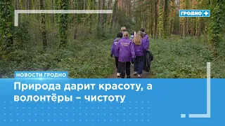 BRSM volunteers clean up the most Instagrammable forest