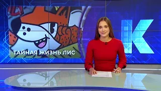 Kaliningrad News — Daily Roundup, September 25, 2026 Kaskad TV