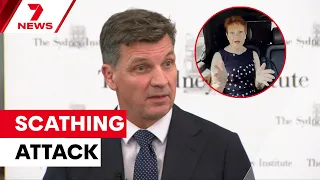 Angus Taylor delivers blistering attack on Pauline Hanson’s One Nation | 7NEWS
