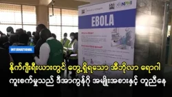 နိုက်ဂျီးရီးယားတွင် တွေ့ရှိရသော အီဘိုလာ ရောဂါကူးစက်မှုသည် ဒီအာကွန်ဂို အမျိုးအစားနှင့် တူညီနေ