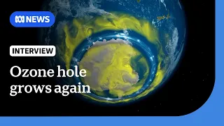 What's going on with the ozone layer hole? A scientist explains | The World | ABC NEWS