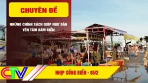 NHỊP SỐNG BIỂN 05-2-2026 | NHỮNG CHÍNH SÁCH GIÚP NGƯ DÂN YÊN TÂM BÁM BIỂN