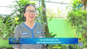 Chợ quê Tây Ninh nhộp nhịp sắc Xuân