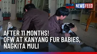 After 11 months! OFW at kanyang fur babies, nagkita muli | GMA News Feed