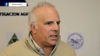 “Que venga El Niño”: Álvaro Roel explica por qué puede ser una buena noticia para el arroz
