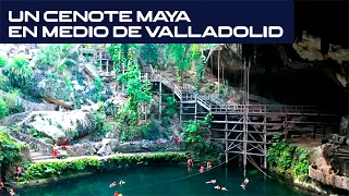 VALLADOLID'S HIDDEN CENOTE: ZACI, a natural wonder in the heart of Yucatan