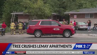 Massive tree falls on apartments in south St. Louis County