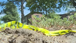 Teen suspect, father charged with murder in fatal Kearns funeral shooting