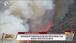 Forest fires have increased nearly ninefold in the last 20 years