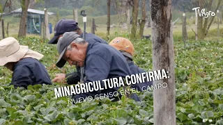 Ministry of Agriculture confirms: New rural census - TvAgro by Juan Gonzalo Angel
