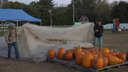 Brown’s Harvest in Windsor blends family tradition with new farm fun