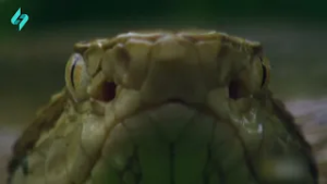 Pulunuz olsa da, gedə bilməyəcəyiniz 6 yer | Sən demə