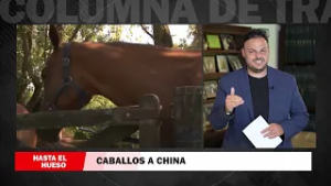 HEH B3 TRAGO DULCE AMARGO