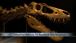 PaleoFest puts Jane in the spotlight at Burpee Museum this weekend