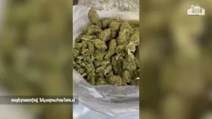 Ապօրինի թմրաշրջանառությունից հանվել է 18 կիլոգրամ մարիխուանա․ ՔՈԳՎ հերթական խոշոր բացահայտումը