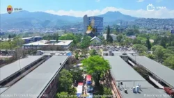 El colibrí en la UNAH: belleza natural en nuestra Alma Máter