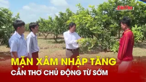 Mặn xâm nhập tăng - Cần Thơ chủ động từ sớm | CT-TDT