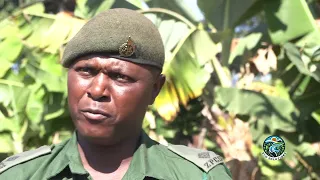 ECOSOLUTIONS- Planting For Tomorrow: Growing Food, Trees and Skills at  Chikurubi Prison Farm