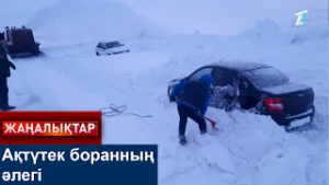 Ақтүтек боранның әлегі