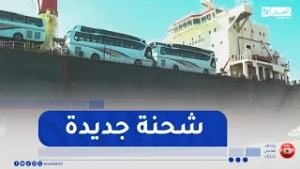 العاصمة : وصول شحنة جديدة من الحافلات المستوردة إلى ميناء الجزائر