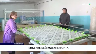 Еңбекке бейімделген орта