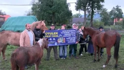 MUKAŘOV: Z letošního výtěžku podpořil Útulek fest i týrané a nechtěné koně