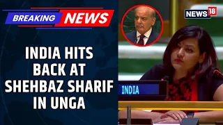 India Hits Back At Pakistan At UNGA | Petal Gahlot On Terrorism, Osama & Kashmir | News18