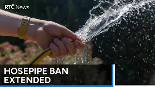 Hosepipe ban extended nationwide from Friday | RTÉ News