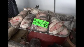 Бүгін халықаралық балықшы күні