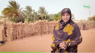 شنقيط …إرث تاريخي يساير العصرنة