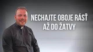 EFFETA | 16. nedeľa v Cezročnom období, ROK A