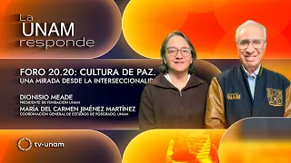 Forum 20.20: Culture of Peace. An intersectional perspective. UNAM responds 1410