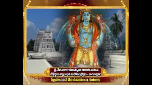 Sri Vedha Narayana Swamy Alaya Vimana Jeenodharana Astabandhana Maha Samprokshana || Nagulapuram