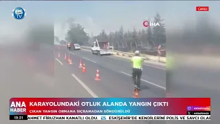 Grass fire breaks out on highway