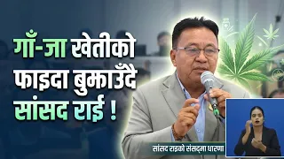गाँ-जाबाट देश नै कायापलट गर्ने सांसद राजेन्द्र कुमार राईको दाबी !- NEWS24 TV
