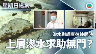 星期日檔案｜滲水辦年接四萬個案　為何調查往往大幅超時?｜無綫新聞 TVB News