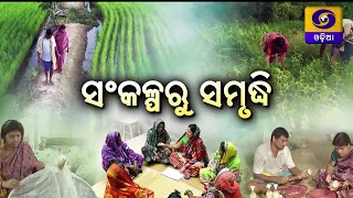 ସଂକଳ୍ପରୁ ସମୃଦ୍ଧି | Rural Women Empowerment & Self Help Group Success | Krishi Darshan | DD Odia