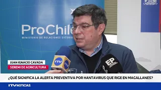Authorities reinforce preventive measures due to Hantavirus alert in Magallanes