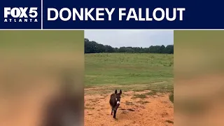 Owner of killed donkey sends cease-and-desist letter | FOX 5 News