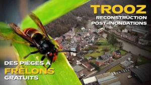 HEBDO DE LA PROVINCE DE LIÈGE : RECONSTRUCTION DE TROOZ, PIÈGE À FRELONS, HISTOIRE DES PROSTITUTÉES