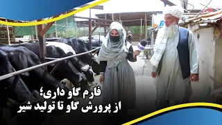 Dairy Farming: From Cattle Raising to Milk Production / فارم گاو داری؛ از پرورش گاو تا تولید شیر