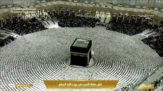 فواتحُ سورة السجدة.. ثم سجودُ التلاوة، في مشهدٍ يملأ القلوب خشوعًا من صلاة فجر الجمعة بالمسجد الحرام