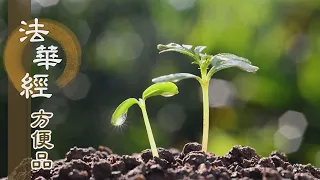 【靜思妙蓮華】法華經方便品第二 - 熄滅心火修三昧 - 第188集｜共修版