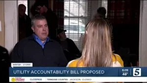 Lawmakers demand NES transparency after ice storm outages