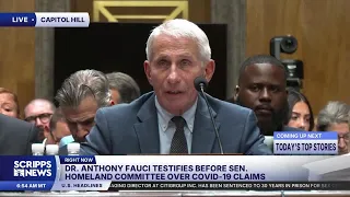 Dr. Fauci invokes the Fifth during COVID hearing