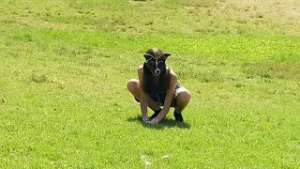 Therian-Trend: Jugendliche mit Tiermasken treffen sich in Buenos Aires