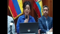 CNE in Loja verified electoral ballots
