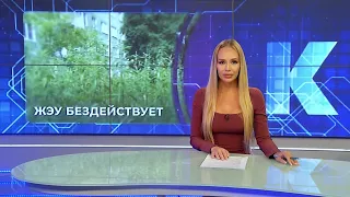 Kaliningrad News — Daily Wrap-Up, July 07, 2026 Kaskad TV